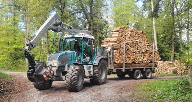 05_Holzernte.jpg