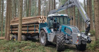 06_Holzernte.jpg