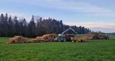 07_Holzernte.jpg