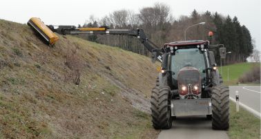 Landschaftspflege2.jpg