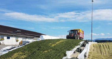 Landwirtschaftliche Lohnarbeit3.jpg