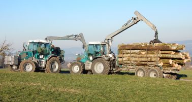 09_Holzernte.jpg